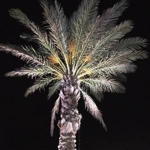 Meet your Posher, Christie